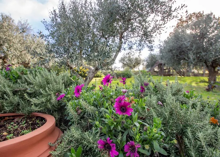 Casale Vincenzo By Interhome Collecorvino