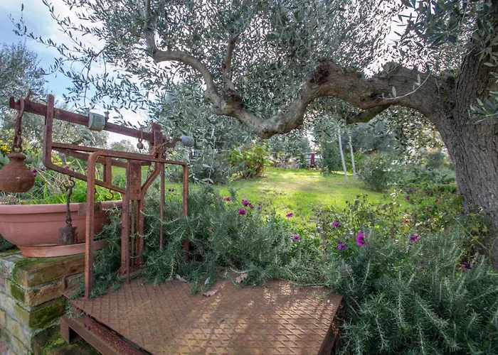 Casale Vincenzo By Interhome Collecorvino